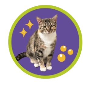 ChemCat Education Logo